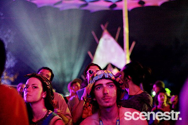 Photos: Rabbits Eat Lettuce - Woodfordia, Sunshine Coast - 4-5 April, 2015