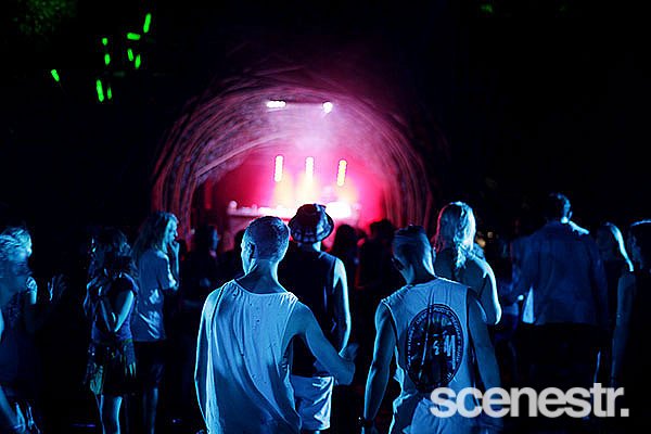 Photos: Rabbits Eat Lettuce - Woodfordia, Sunshine Coast - 4-5 April, 2015