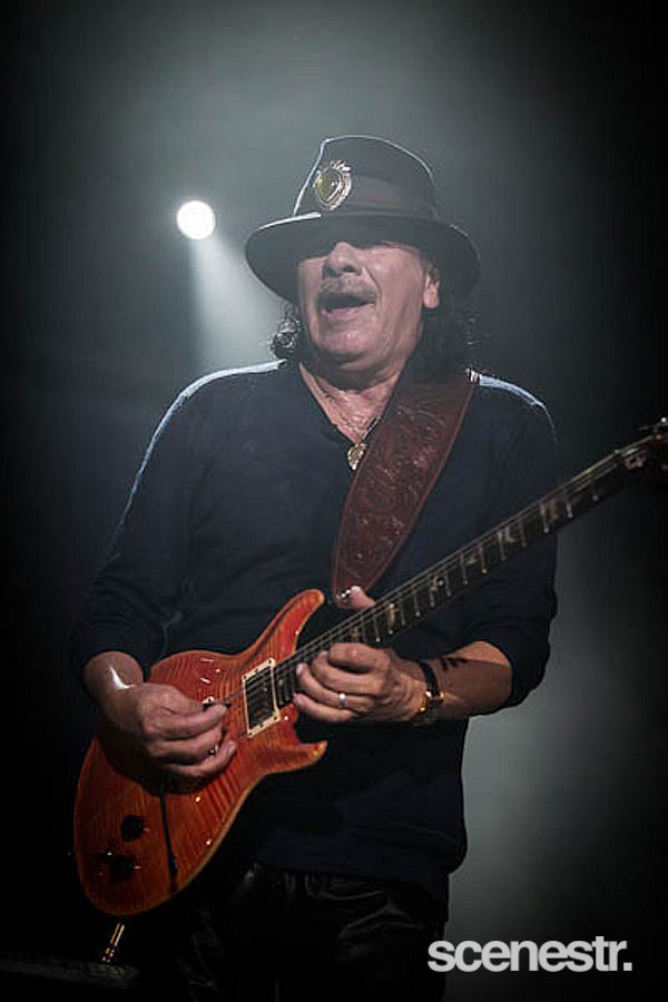 Photos: Bluesfest Byron Bay - Artists - 2013