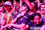 Photos: Humans Of Falls Festival Byron - 31 December, 2018 & 1-2 January 2019
