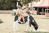 Photos: Falls Festival Day Two - North Byron Parklands - 1 January, 2019