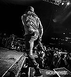 Photos: Slash ft. Myles Kennedy and The Conspirators - The Riverstage, Brisbane - 25 February, 2024