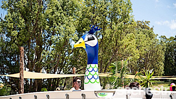 Photos: People Of Falls Festival 2022-2023 - North Byron Parklands, Byron Bay - 2 January, 2023
