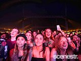 Photos: People Of 2019 Bluesfest - 18-22 April, 2019