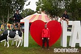 Photos: Falls Festival Byron - Day Three - 2 January, 2018