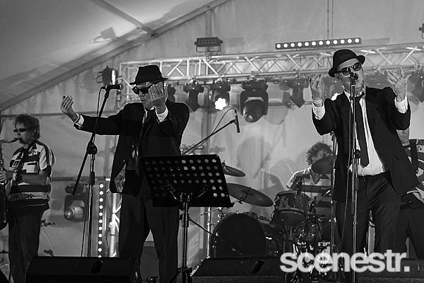 Photos: Mitchell Creek Rock 'N' Blues Fest Day 2 - Mary Valley, Sunshine Coast - 19 September, 2020