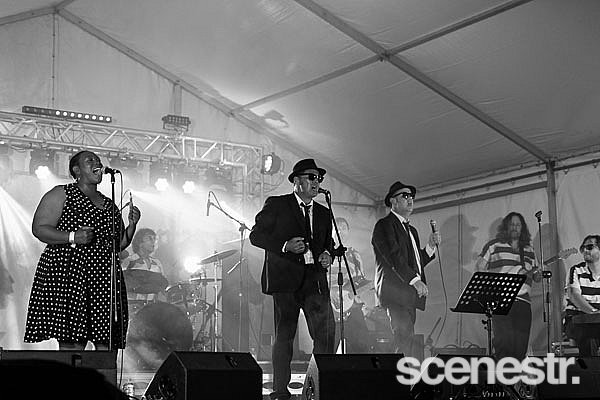 Photos: Mitchell Creek Rock 'N' Blues Fest Day 2 - Mary Valley, Sunshine Coast - 19 September, 2020
