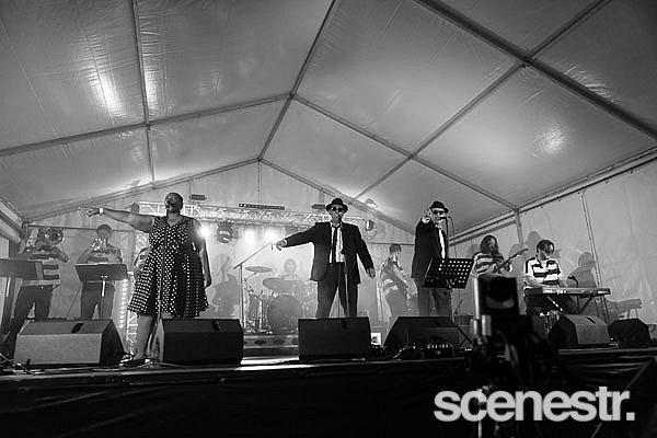 Photos: Mitchell Creek Rock 'N' Blues Fest Day 2 - Mary Valley, Sunshine Coast - 19 September, 2020