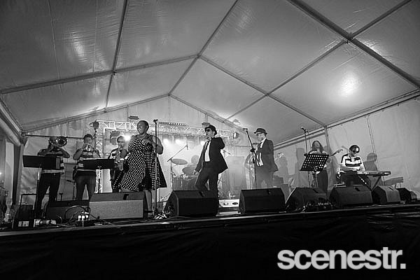 Photos: Mitchell Creek Rock 'N' Blues Fest Day 2 - Mary Valley, Sunshine Coast - 19 September, 2020