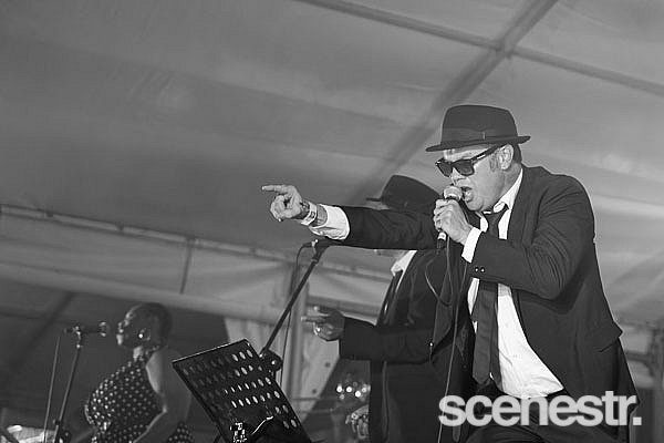 Photos: Mitchell Creek Rock 'N' Blues Fest Day 2 - Mary Valley, Sunshine Coast - 19 September, 2020