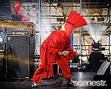 Photos: TISM & Machine Gun Fellatio - The Riverstage, Brisbane - 20 October, 2024