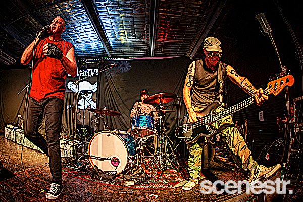 Photos: Me First And The Gimme Gimmes - Miami Marketta, Gold Coast - 1 November, 2024