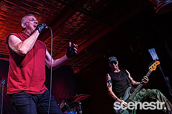 Photos: Me First And The Gimme Gimmes - Miami Marketta, Gold Coast - 1 November, 2024