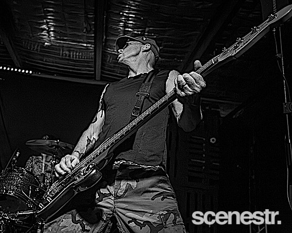 Photos: Me First And The Gimme Gimmes - Miami Marketta, Gold Coast - 1 November, 2024