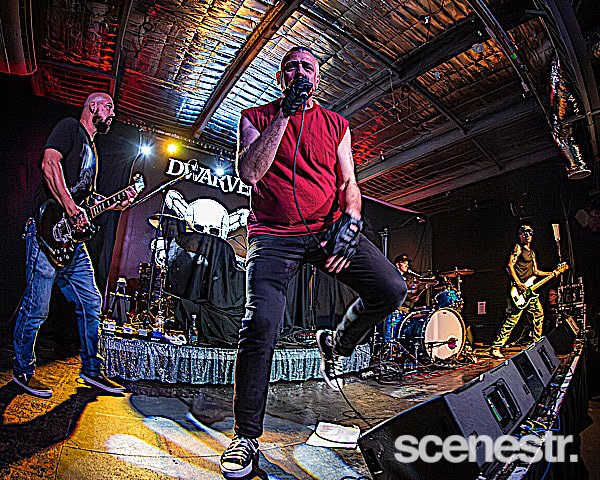 Photos: Me First And The Gimme Gimmes - Miami Marketta, Gold Coast - 1 November, 2024