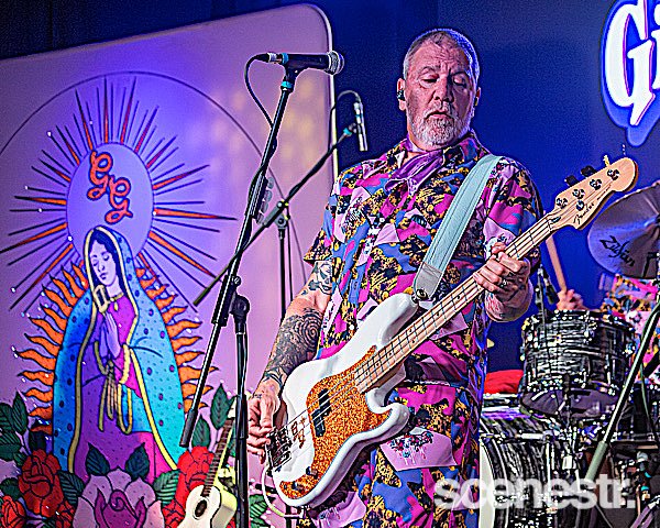 Photos: Me First And The Gimme Gimmes - Miami Marketta, Gold Coast - 1 November, 2024
