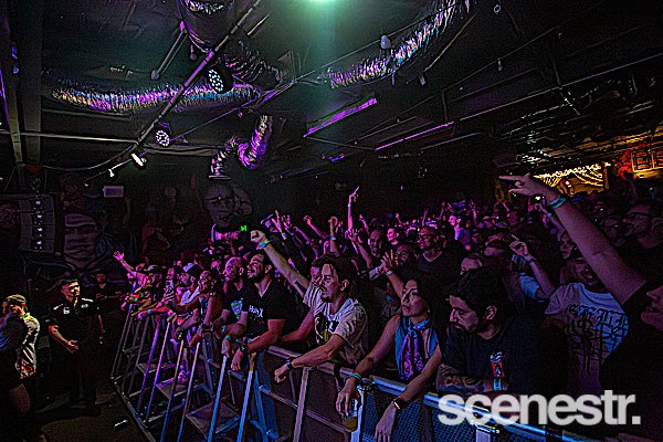 Photos: Me First And The Gimme Gimmes - Miami Marketta, Gold Coast - 1 November, 2024