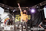 Photos: Party In The Paddock Part 2 - White Hills, Tasmania - 19-20 February, 2016