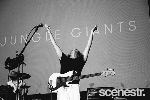 Photos: 2017 Groovin The Moo - Maitland - 29 April, 2017