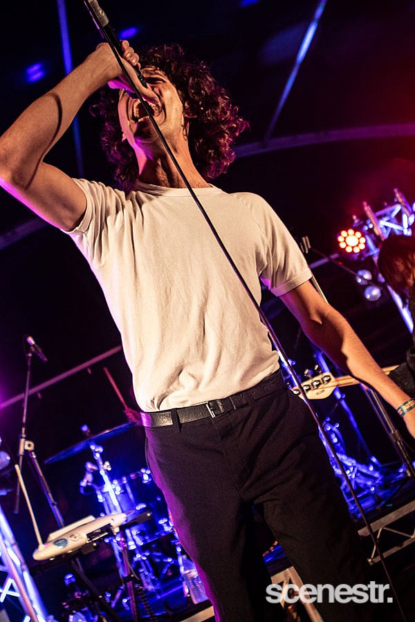Photos: 2019 Farmer & The Owl - MacCabe Park, Wollongong - 2 March, 2019