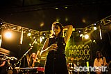 Photos: Party In The Paddock Part 2 - White Hills, Tasmania - 19-20 February, 2016