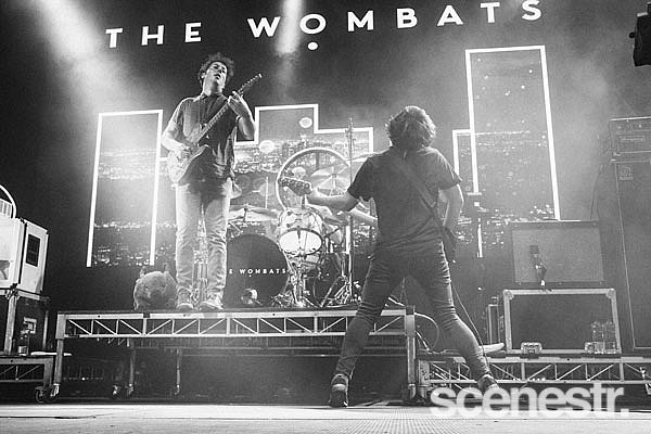 Photos: 2017 Groovin The Moo - Maitland - 29 April, 2017