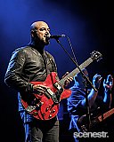 Photos: The Animals - The Princess Theatre, Brisbane - 6 June, 2024