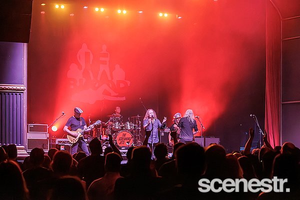 Photos: The Screaming Jets - The Princess Theatre, Brisbane - 7 December, 2024