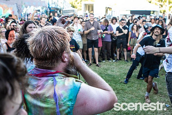 Photos: 2019 Farmer & The Owl - MacCabe Park, Wollongong - 2 March, 2019
