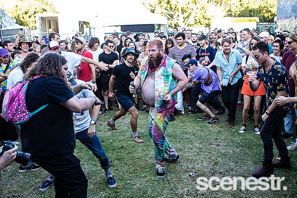 Photos: 2019 Farmer & The Owl - MacCabe Park, Wollongong - 2 March, 2019