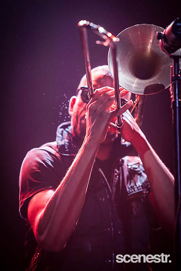 Photos: Bluesfest Byron Bay - Artists - 2013