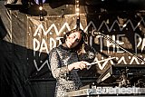 Photos: Party In The Paddock Part 2 - White Hills, Tasmania - 19-20 February, 2016