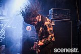 Photos: Party In The Paddock Part 2 - White Hills, Tasmania - 19-20 February, 2016