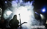 Photos: Party In The Paddock Part 2 - White Hills, Tasmania - 19-20 February, 2016
