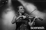 Photos: Woodford Folk Festival Bands - Woodfordia, Sunshine Coast - 27-31 December 2015 & 1 January, 2016