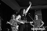 Photos: Woodford Folk Festival Bands - Woodfordia, Sunshine Coast - 27-31 December 2015 & 1 January, 2016