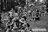 Photos: Woodford Folk Festival Bands - Woodfordia, Sunshine Coast - 27-31 December 2015 & 1 January, 2016