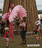 Photos: Woodford Folk Festival Bands - Woodfordia, Sunshine Coast - 27-31 December 2015 & 1 January, 2016