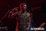 Photos: Street Pieces - Woolly Mammoth, Brisbane - 25 September, 2020