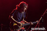 Photos: Street Pieces - Woolly Mammoth, Brisbane - 25 September, 2020