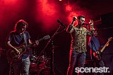 Photos: Street Pieces - Woolly Mammoth, Brisbane - 25 September, 2020