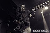 Photos: Street Pieces - Woolly Mammoth, Brisbane - 25 September, 2020