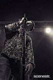 Photos: Street Pieces - Woolly Mammoth, Brisbane - 25 September, 2020
