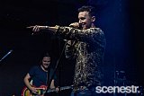 Photos: Street Pieces - Woolly Mammoth, Brisbane - 25 September, 2020