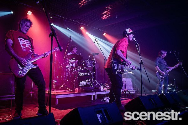 Photos: Custard - Miami Marketta, Gold Coast - 20 December, 2024