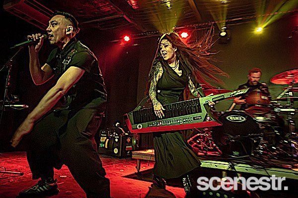Photos: Regurgitator - Miami Marketta, Gold Coast - 14 June, 2024
