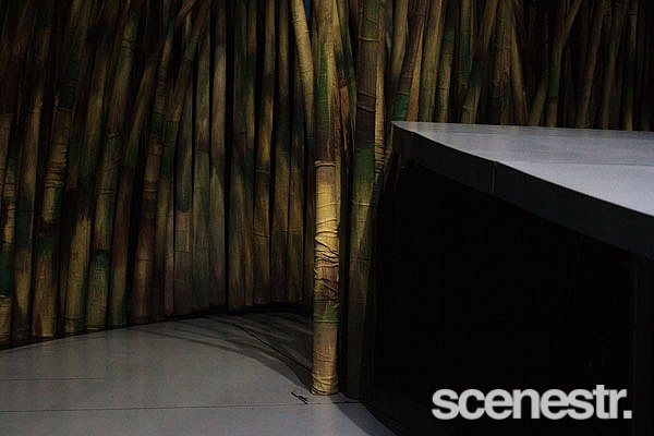 Photos: Behind The Seams: TOTEM - Cirque du Soleil, Northshore Hamilton - 9 April, 2015