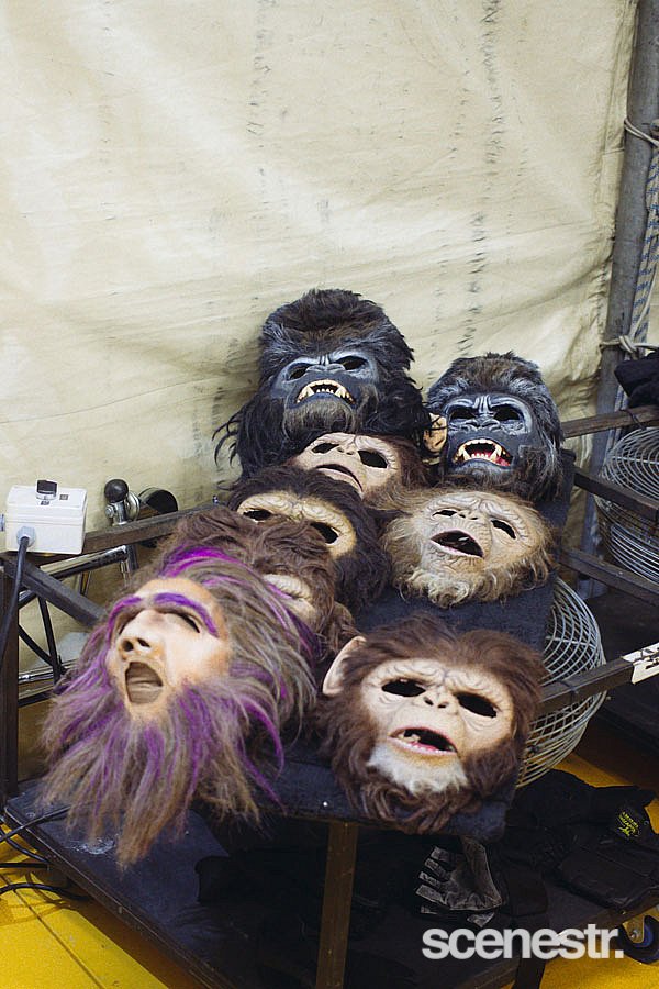 Photos: Behind The Seams: TOTEM - Cirque du Soleil, Northshore Hamilton - 9 April, 2015