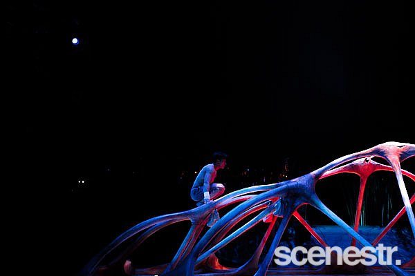 Photos: Behind The Seams: TOTEM - Cirque du Soleil, Northshore Hamilton - 9 April, 2015