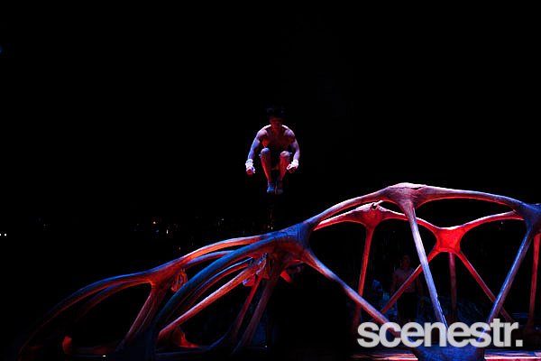 Photos: Behind The Seams: TOTEM - Cirque du Soleil, Northshore Hamilton - 9 April, 2015